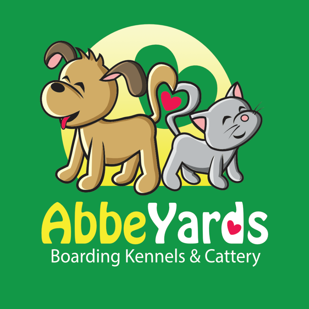 15 Best Dog Boarding Gold Coast Gold Coast Dog Daycare